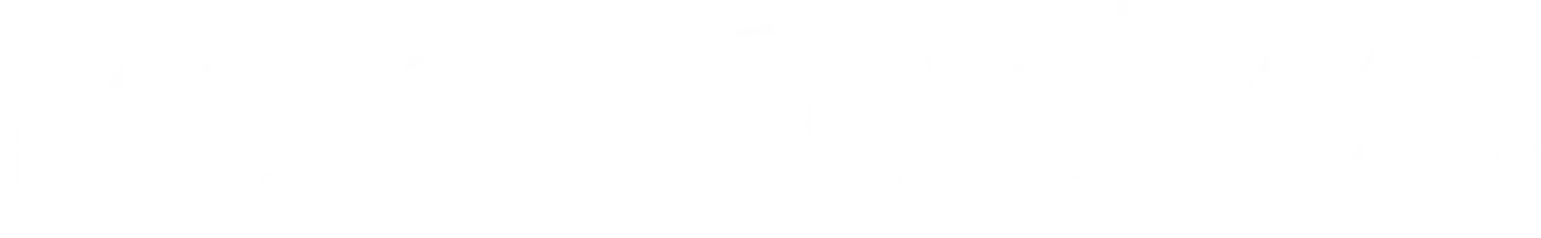 The Computer Shop